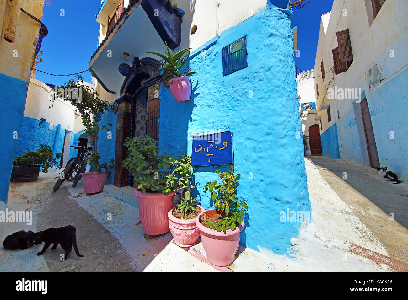 Blaue und weiße Wände der Straßen von Gebäuden in der Kasbah des Udayas in Rabat, Marokko Stockfoto