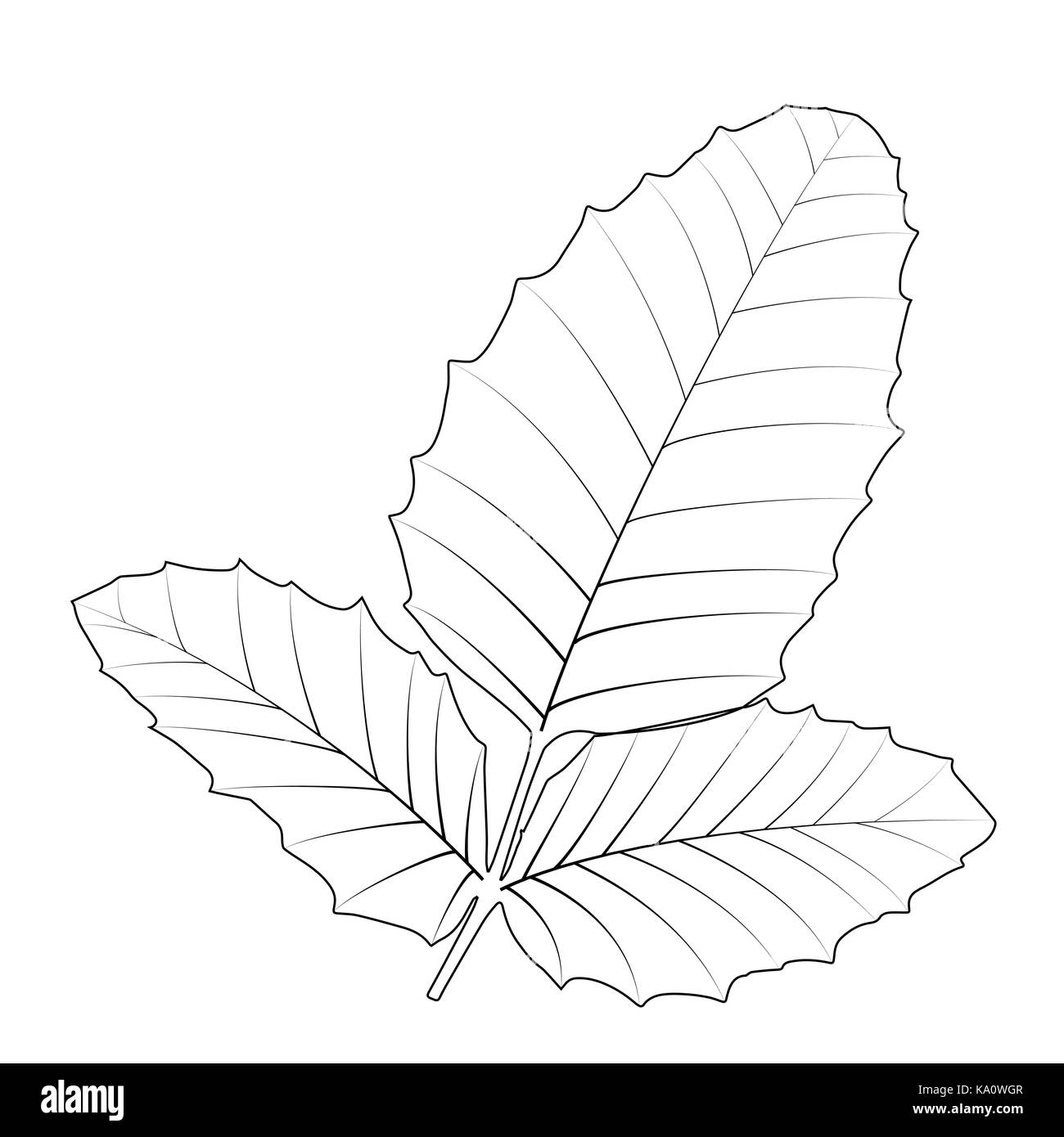 Naturalistische Herbst Blätter auf Weiß. Vector Illustration. Stock Vektor