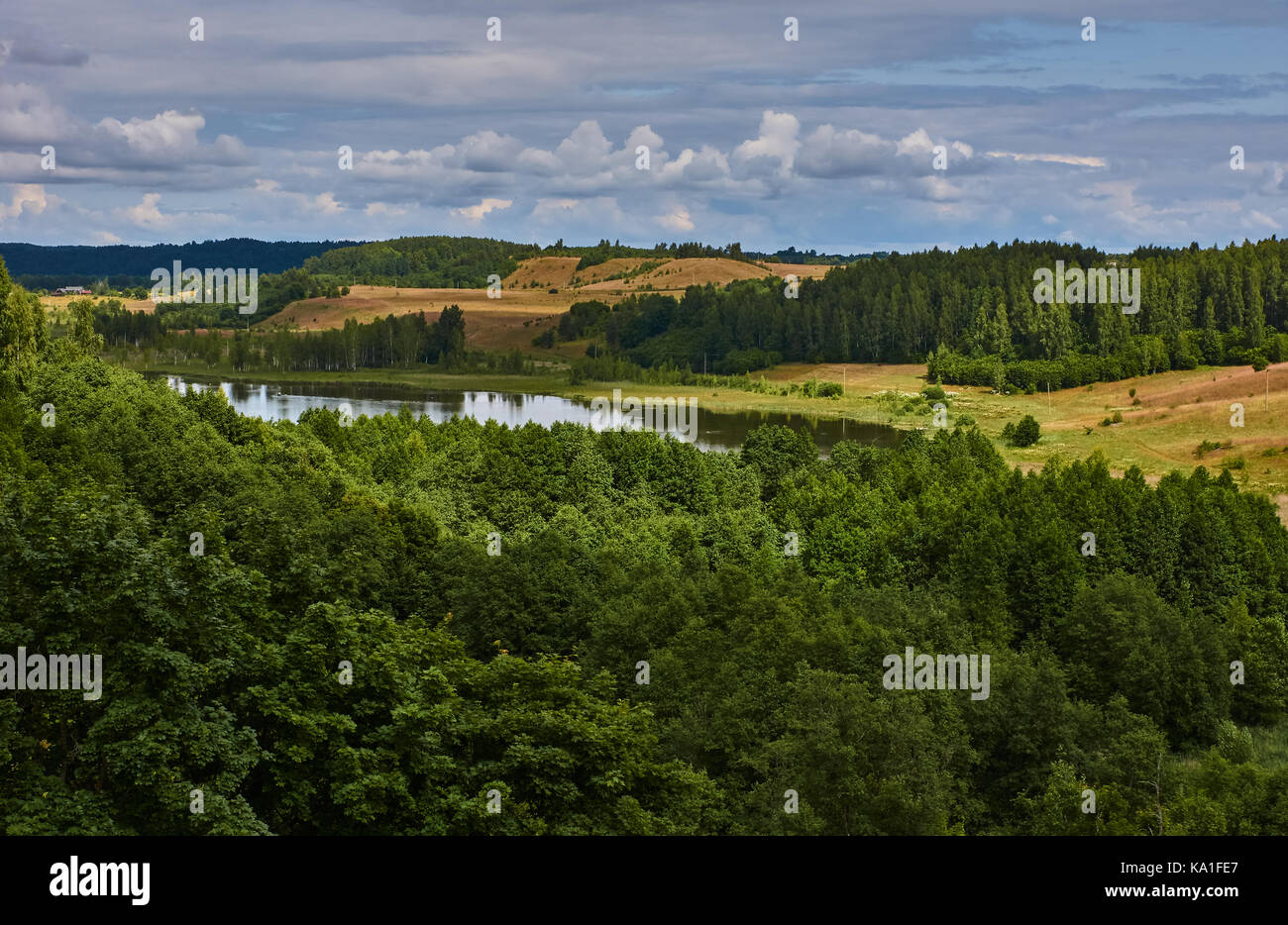 Eine Reihe von Fotos mit Russischen provinziellen Landschaft. Sommer, Mittag, Laubwald, See, kleine Häuser. Russland, Pskow, Natur, Landschaft Stockfoto