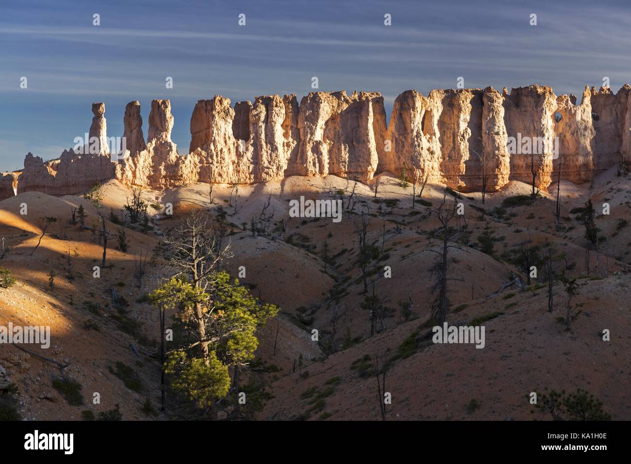 Rock Hoodoos Landschaft Panorama und Wüste Farben mischen in Queens Garden großen Wanderweg im Bryce Canyon National Park, Utah United States Stockfoto