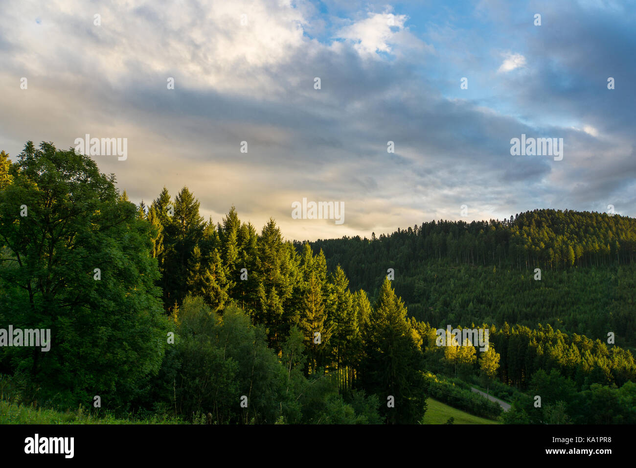 Schwarzwald Deutschland im warmen Abendlicht mit einem malerischen Blick Stockfoto