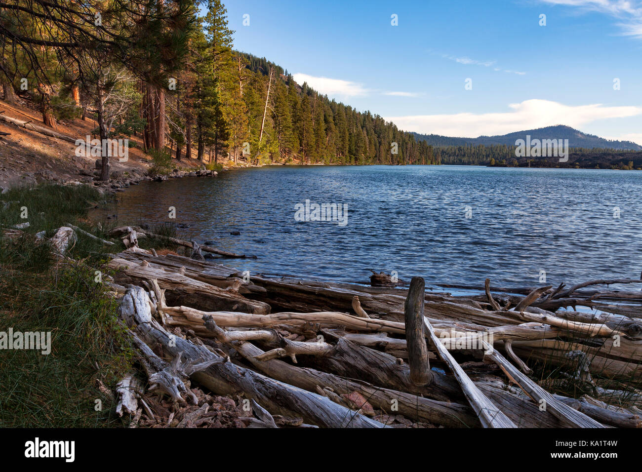 Butte Lake in den Lassen Volcanic National Park ist nur durch die Schneedecke und Feeds Butte Creek auf der nord-östlichen Ufer, wo die Protokolle sammeln. Stockfoto