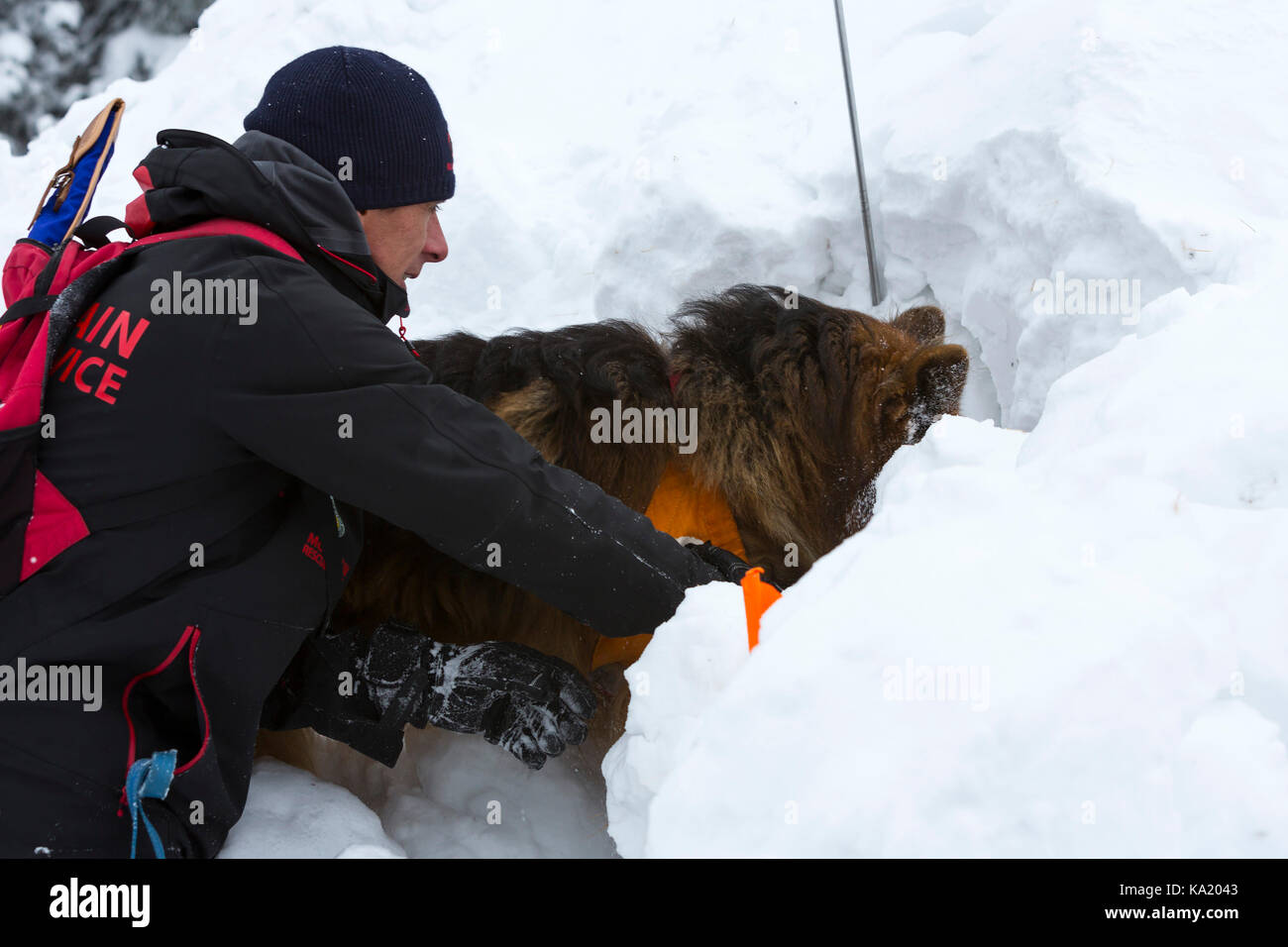 Sofia, Bulgarien - 18. Januar 2017: Retter der Bergwacht am Roten Kreuzes beteiligt sich an einem Training mit seinem Hund. Beide Männer ein Stockfoto