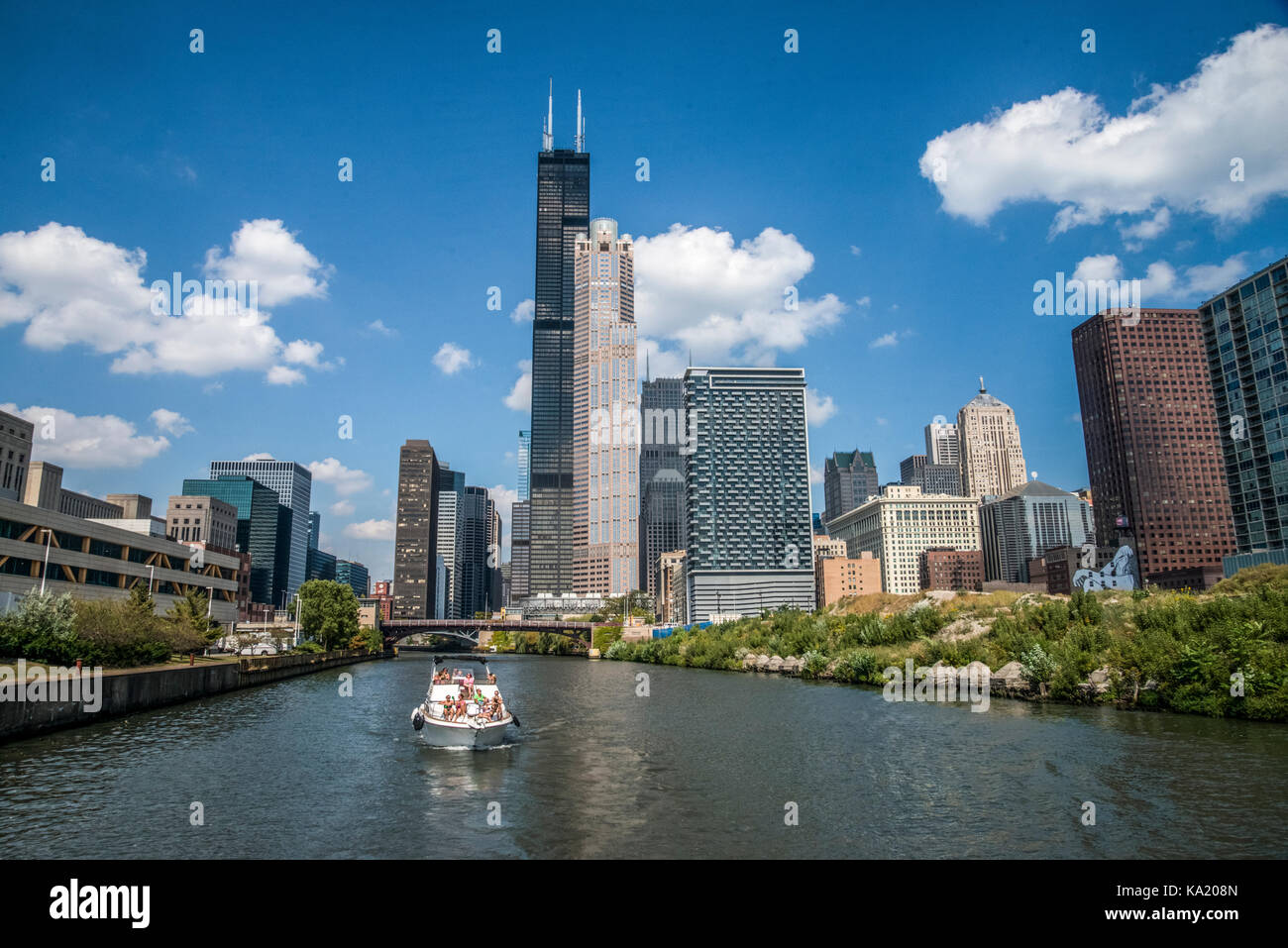 Skyline von Chicago und Willis-Sear Turm von den Chicago Fluss gesehen Stockfoto