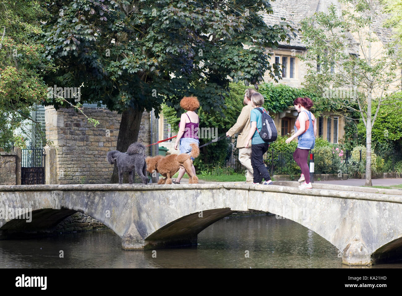 Überqueren die berühmte steinerne Brücke mit Hunden in Bourton auf dem Wasser, Cotswold England Stockfoto