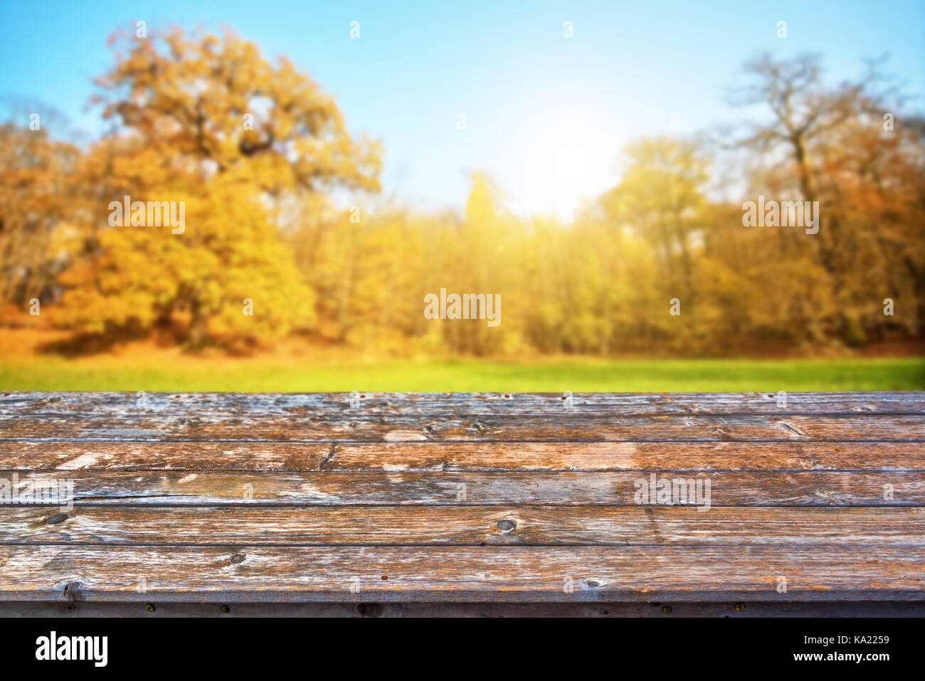 Leere Holz- Tischplatte, sonnigen Wald im Herbst Hintergrund, bereit für die Anzeige oder Montage ihrer Produkte zu verwenden Stockfoto