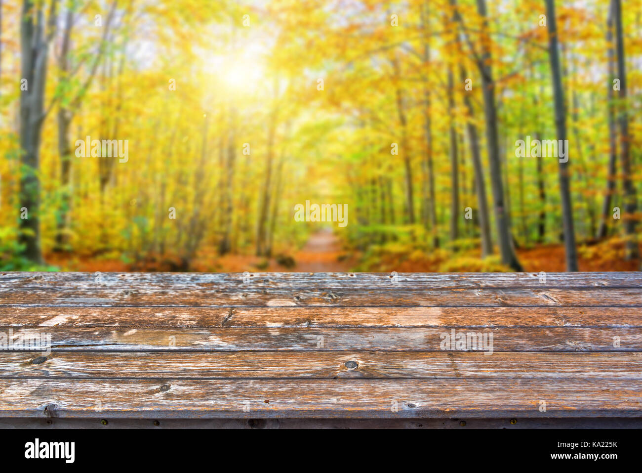 Leere Holz- Tischplatte, sonnigen Wald im Herbst Hintergrund, bereit für die Anzeige oder Montage ihrer Produkte zu verwenden Stockfoto