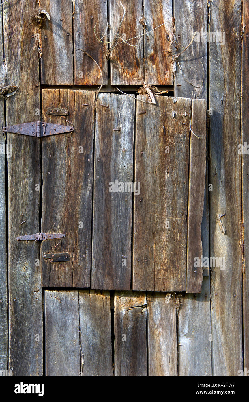 Verwittertes Holz, Leder und Eisen Scharniere halten eine alternde loft Tür zu diesem alten Scheune mit Rusty und verbogene Nägel abgedeckt. Stockfoto