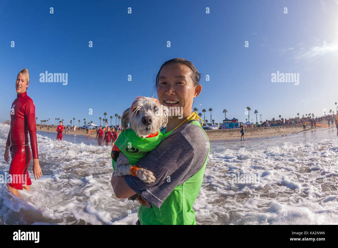 Ca, USA. 23 Sep, 2017. Surf City Surf Hund kehrt nach Huntington Beach. Einen anderen Hund gute Zeit gegangen, wie viele Rassen und Größen in diesem Jahre Fall zu konkurrieren. Hier gesehen: Einstein der Malteser. Credit: Daren Fentiman/ZUMA Draht/Alamy leben Nachrichten Stockfoto