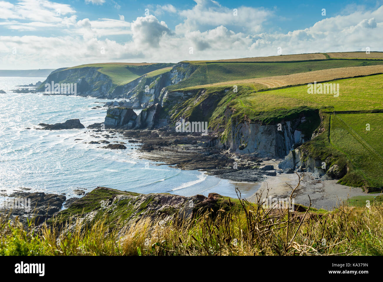 Mit Blick auf die zerklüftete Küste bei Ayrmer Cove in der Nähe von challaborough Devon England Großbritannien Stockfoto