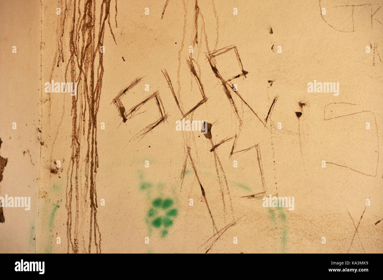 Graffiti-Namen Sur 13 ist in einer verlassenen Struktur entlang der Anza Trail und der Santa Cruz River, ein bekannter Schmuggel Korridor für undokumentierte markiert Stockfoto
