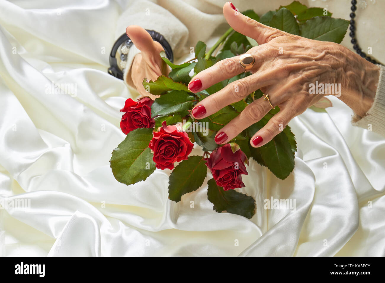 Rosen in alte Frau gepflegte Hände. Ältere Frau mit schönen roten Maniküre mit roten Rosen auf weiße Seide Hintergrund. Stockfoto