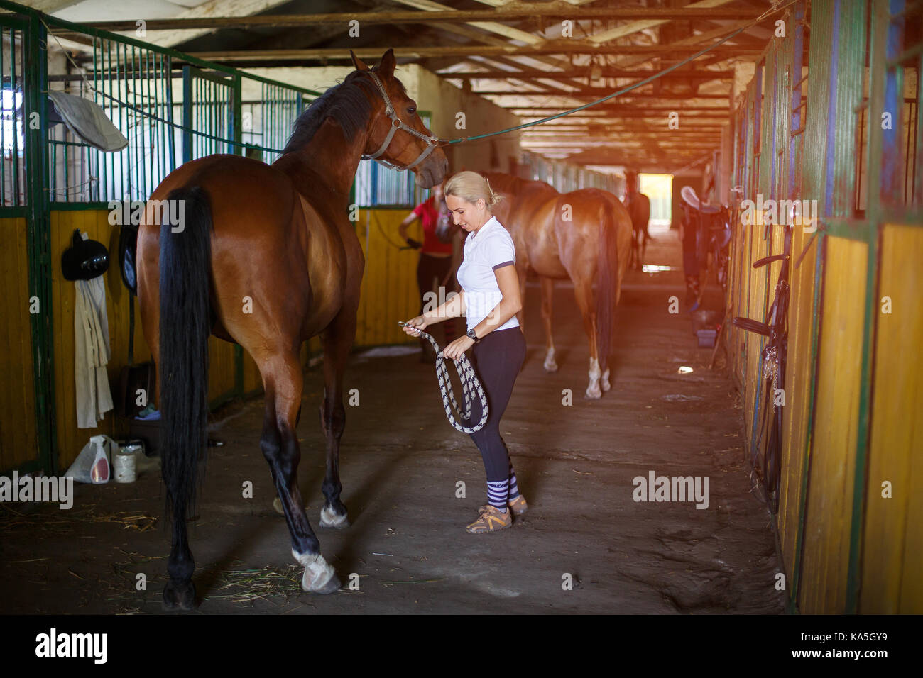 Schöne frau mit pferd Fotos und Bildmaterial in hoher Auflösung Alamy