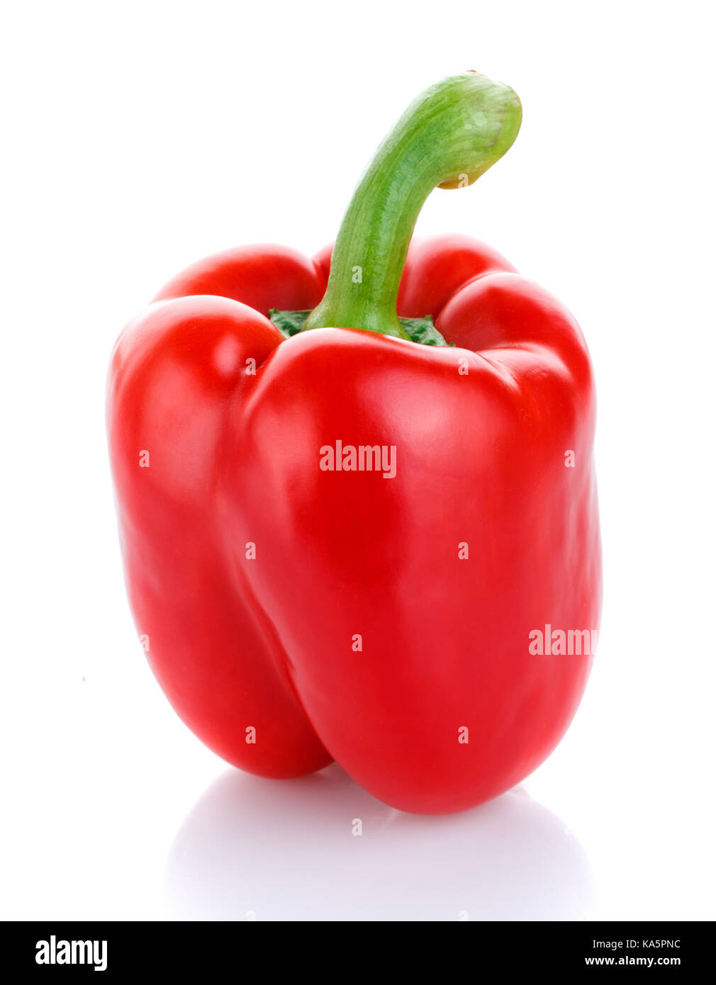 Red Pepper auf weißem Hintergrund Stockfoto