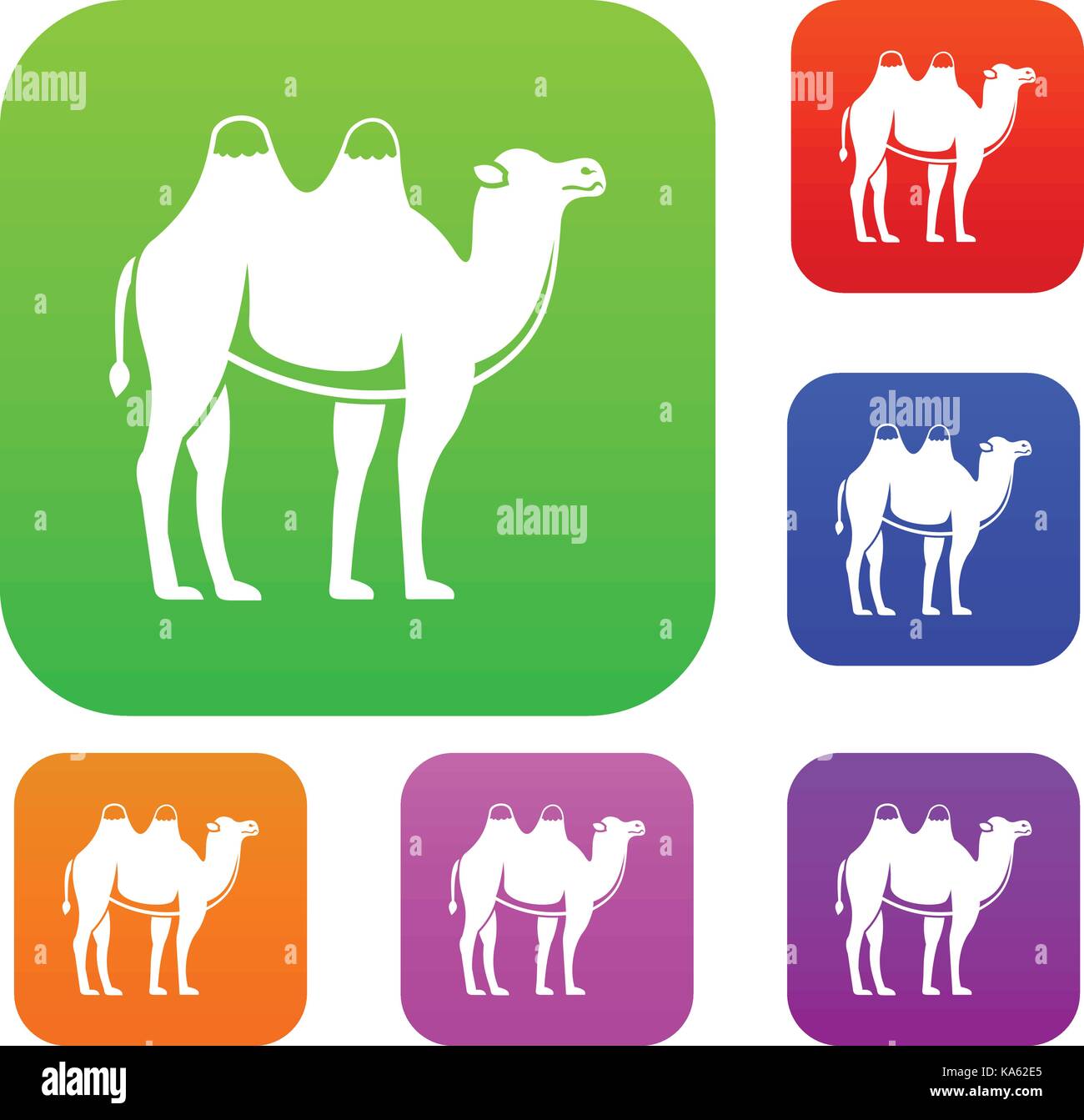 Camel Set Color Collection Stock Vektor