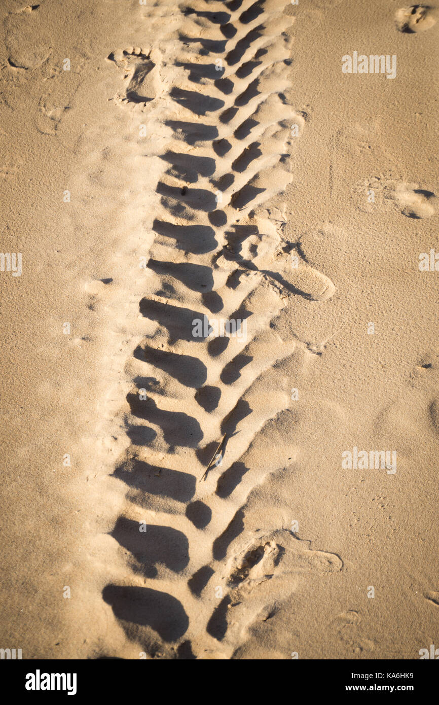 Drucke mit einem Rad in den Sand am Strand der Ostsee im Sommer: der Sommer ist fast vorbei, Warten auf den Herbst. Stockfoto