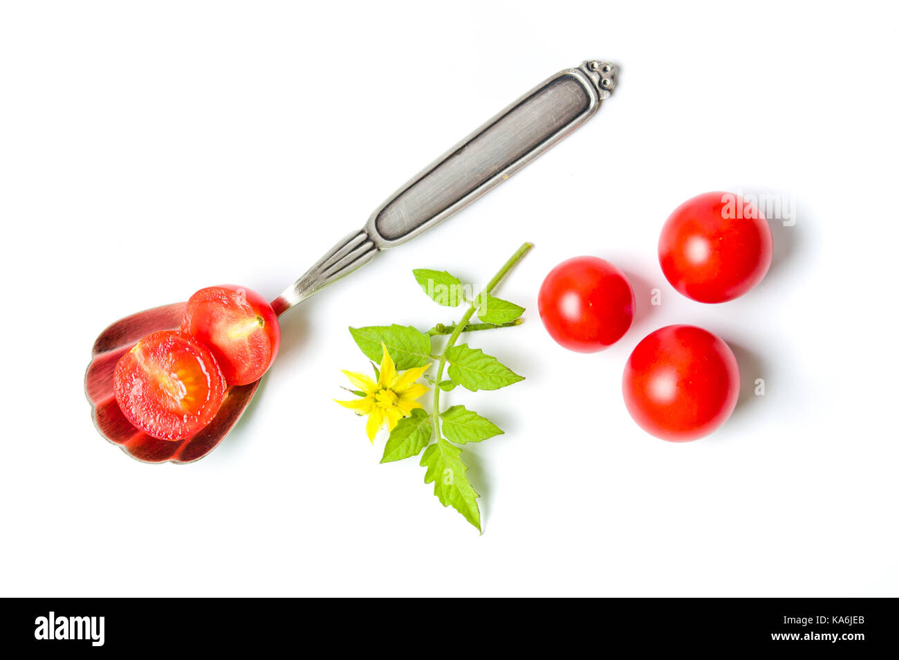 In Scheiben geschnitten Cherry Tomaten in einen Löffel mit natürlichen Zweig isoliert Stockfoto