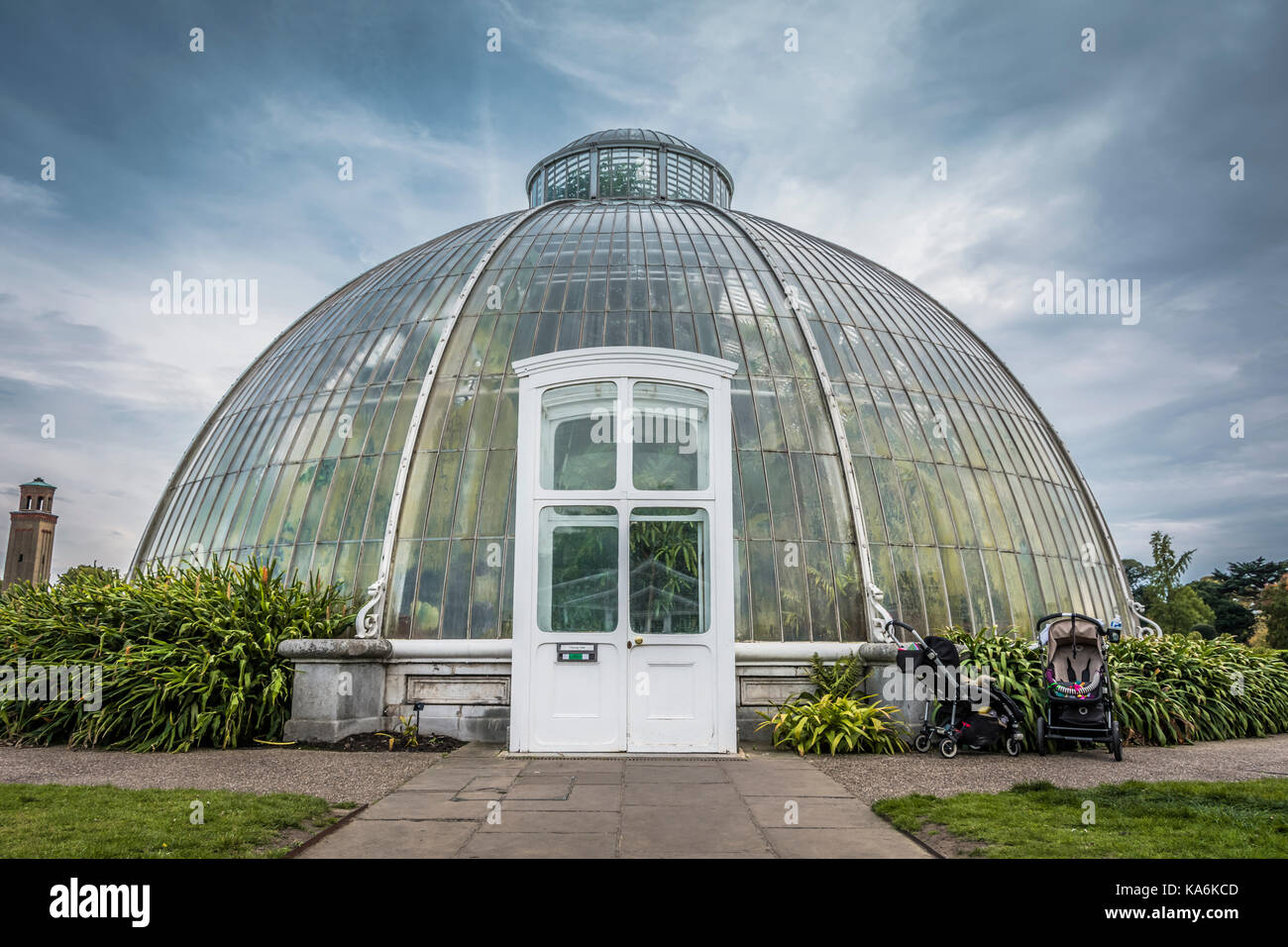 Das Palmenhaus in Kew Gardens, ein botanischer Garten im Südwesten von