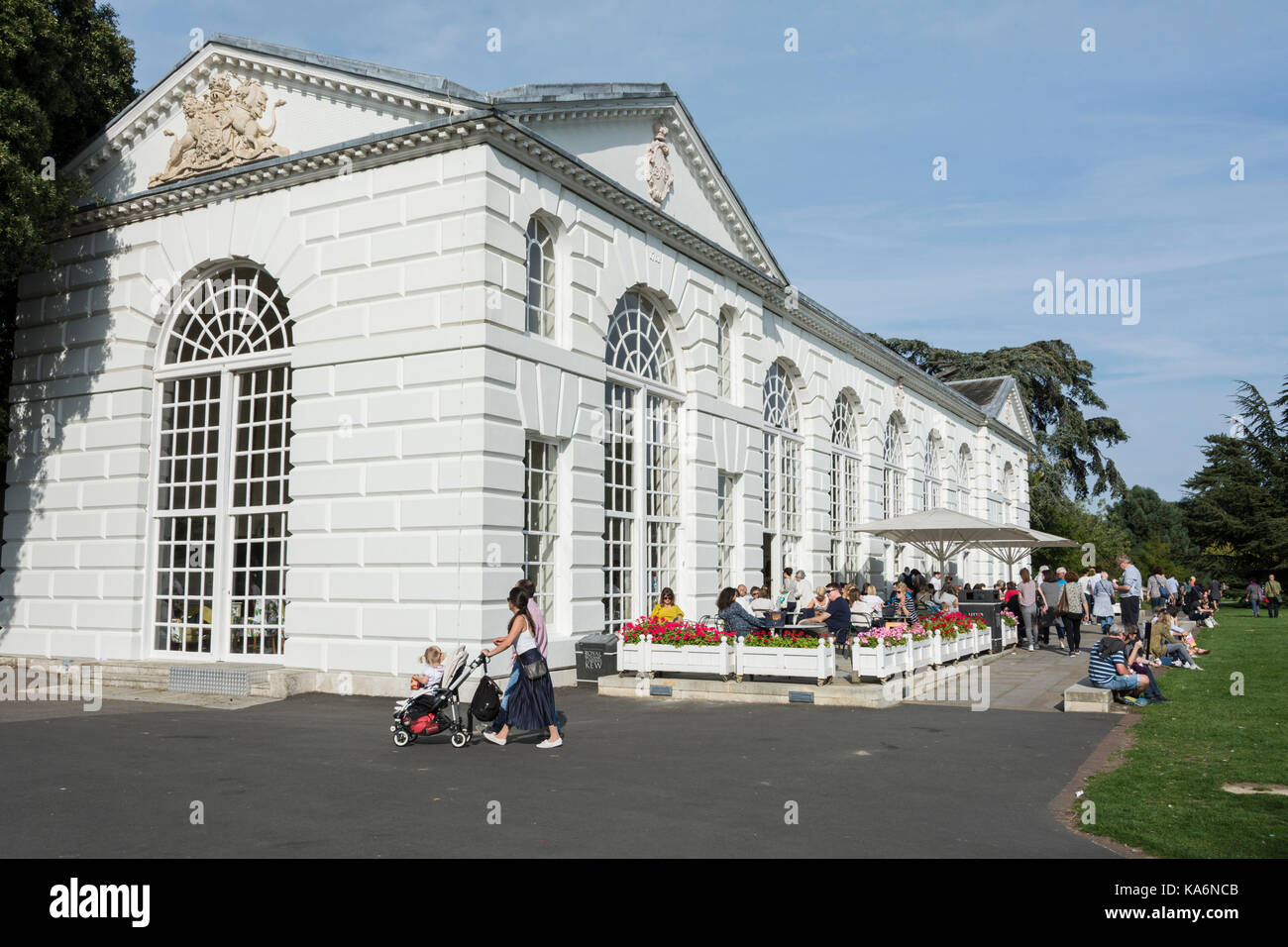 Die Orangerie in Kew Gardens, ein botanischer Garten im Südwesten von London, mit der größten und vielfältigsten botanischen Exemplare in der Welt. Stockfoto