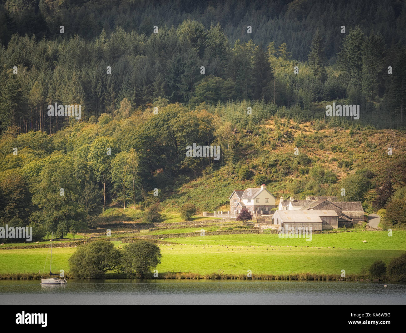 Niedrige Cunsey Farm (glaube ich) Schuß von bellman's Landing auf der anderen Seite des Lake Windermere. Ein heisser Tag heute! Stockfoto