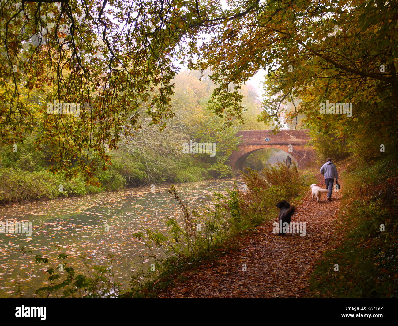 Der Basingstoke Kanal Stockfoto