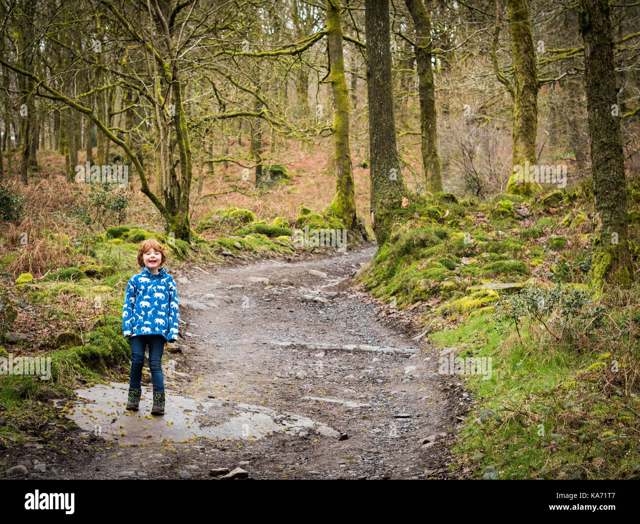 Woodland Abenteuer Stockfoto