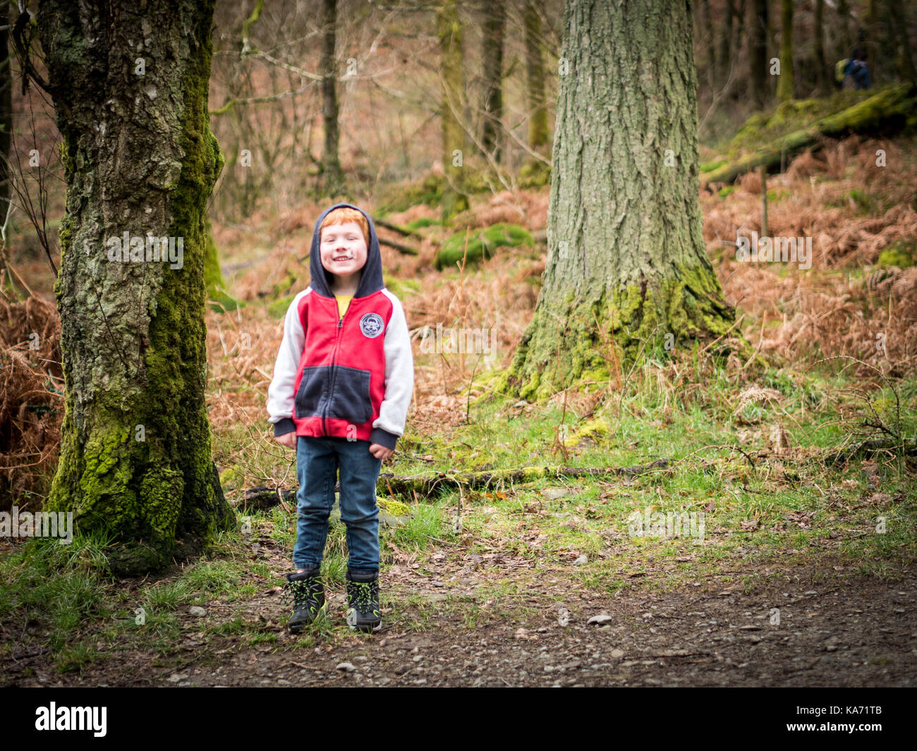 Unter den Bäumen Stockfoto