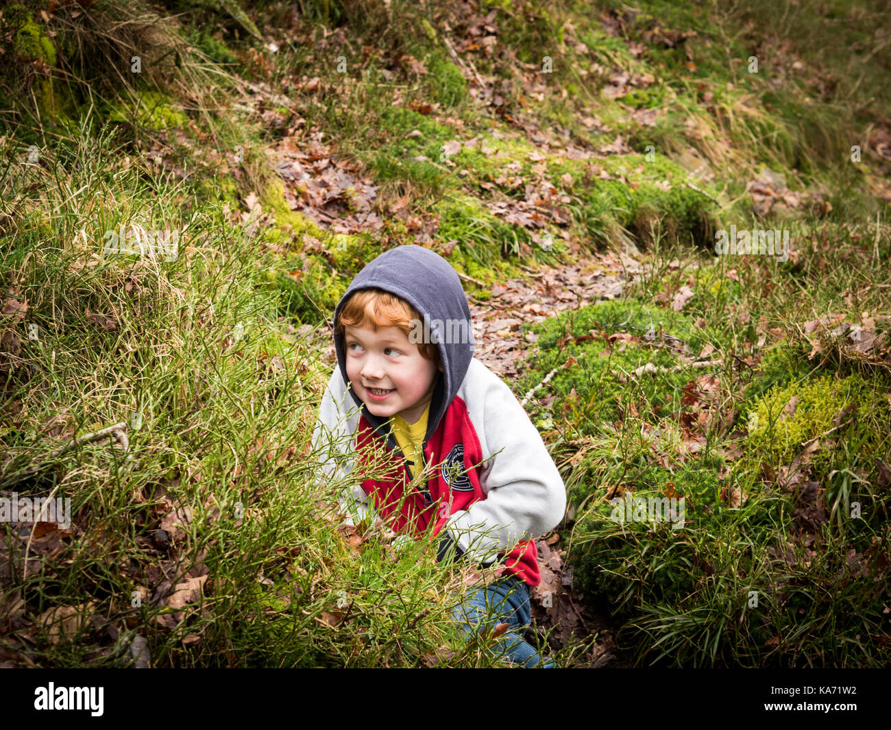 Verstecken und Suchen im Wald Stockfoto
