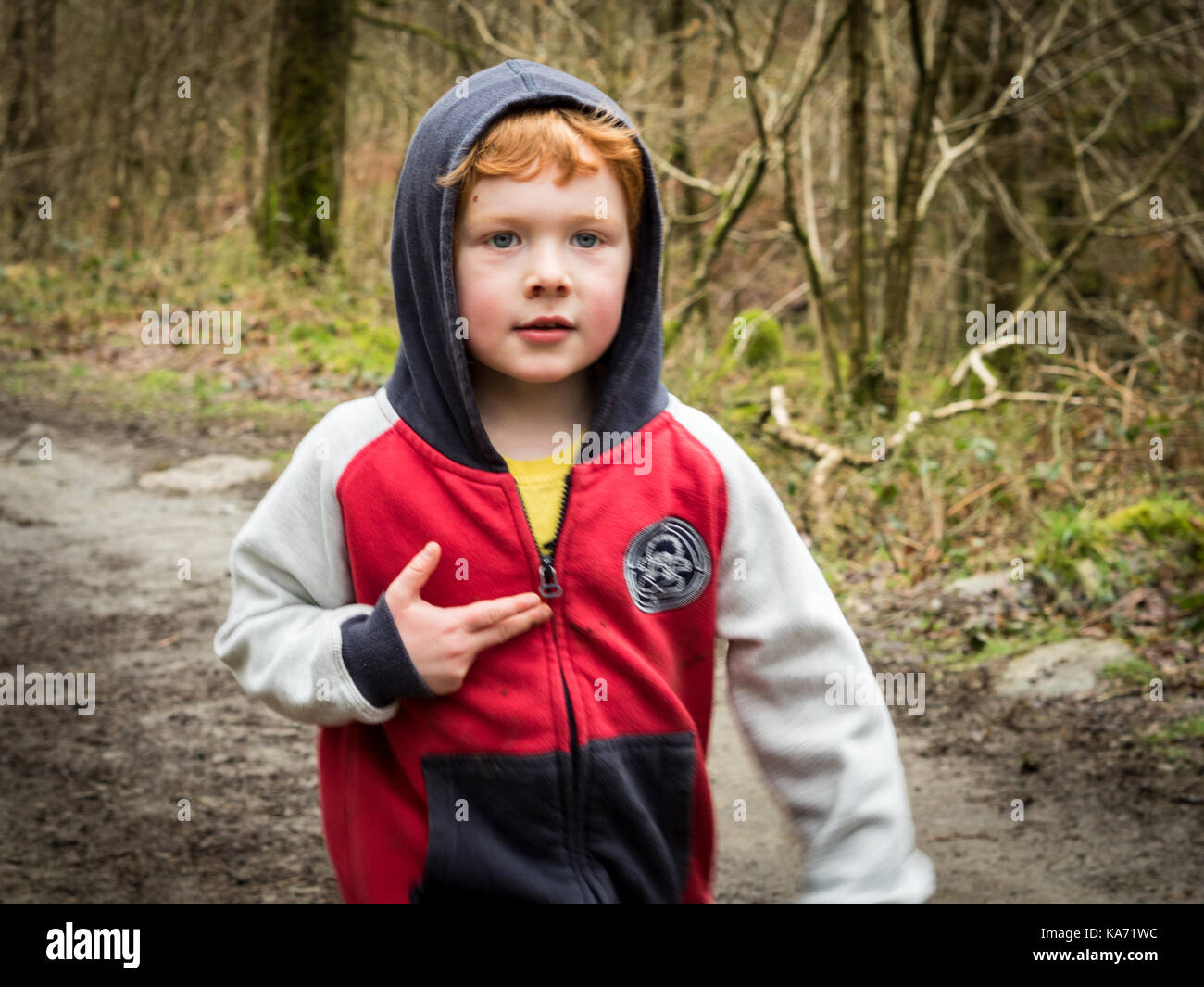 Erkunden High Dam Holz Stockfoto