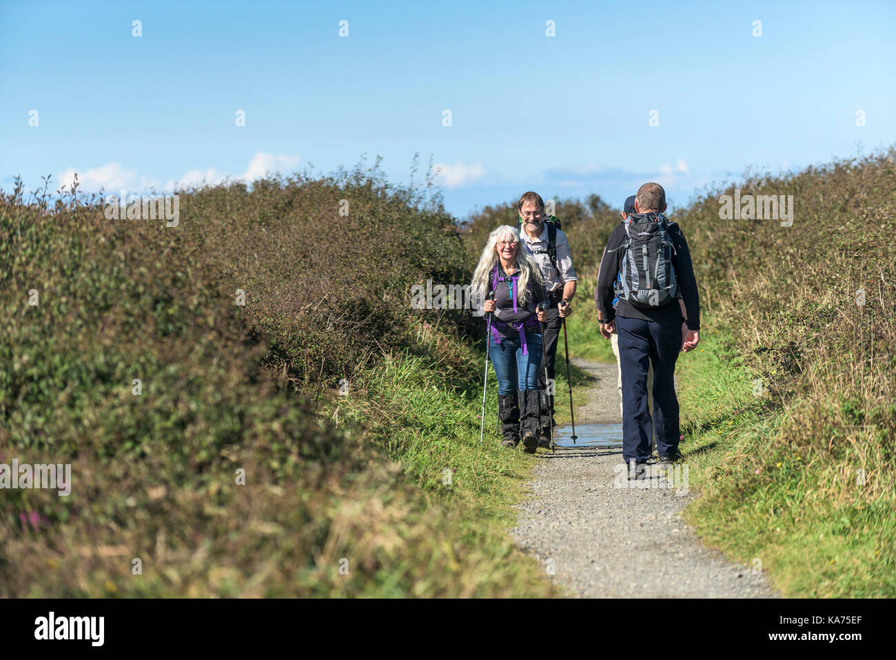 Wandern - Wanderer auf dem South West Coast Path durch Reskajeage Abschreibungen auf Norden Klippen in Cornwall. Stockfoto