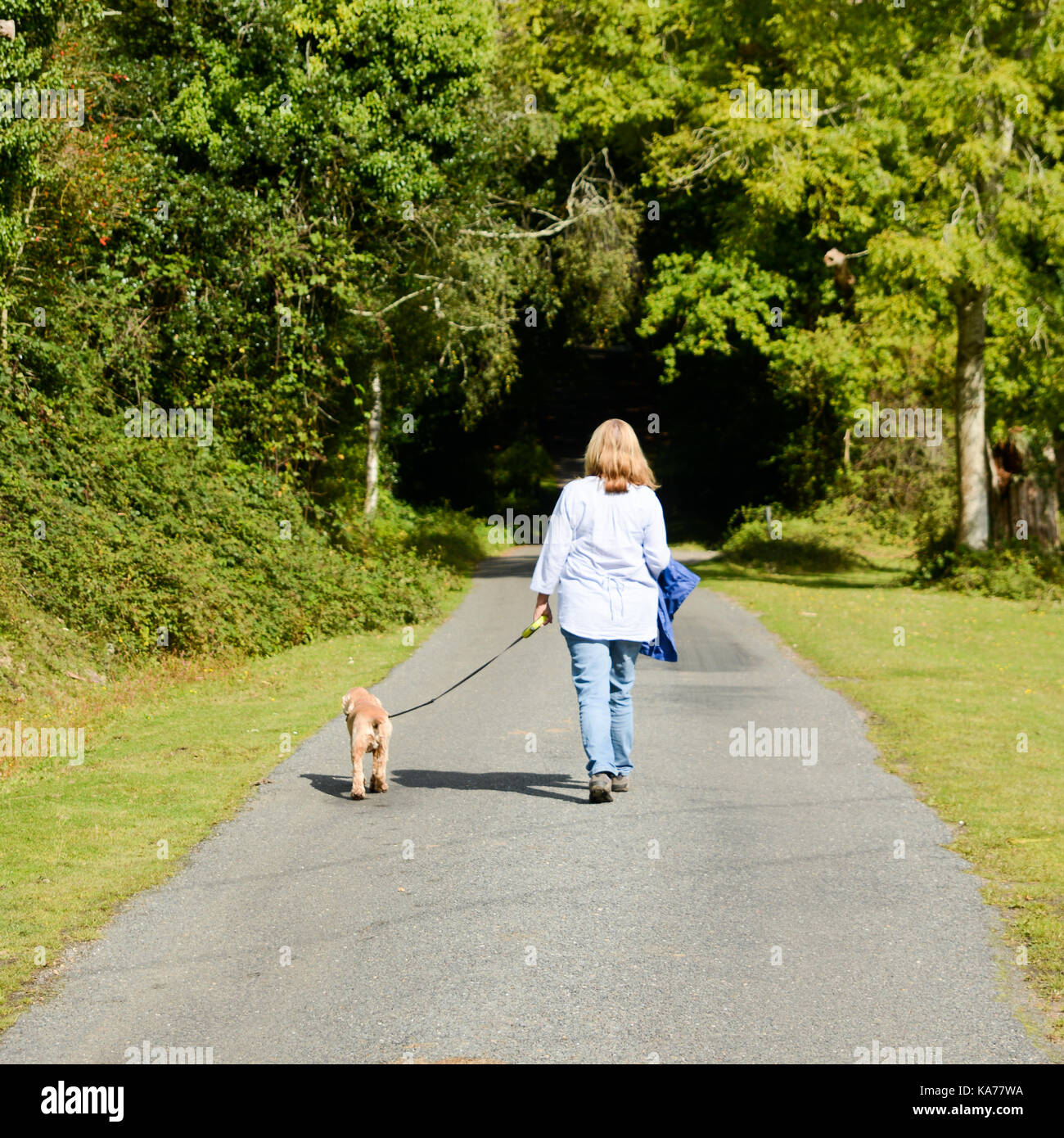Frau spazieren auf einem Feldweg mit einem Hund an der Leine. Stockfoto