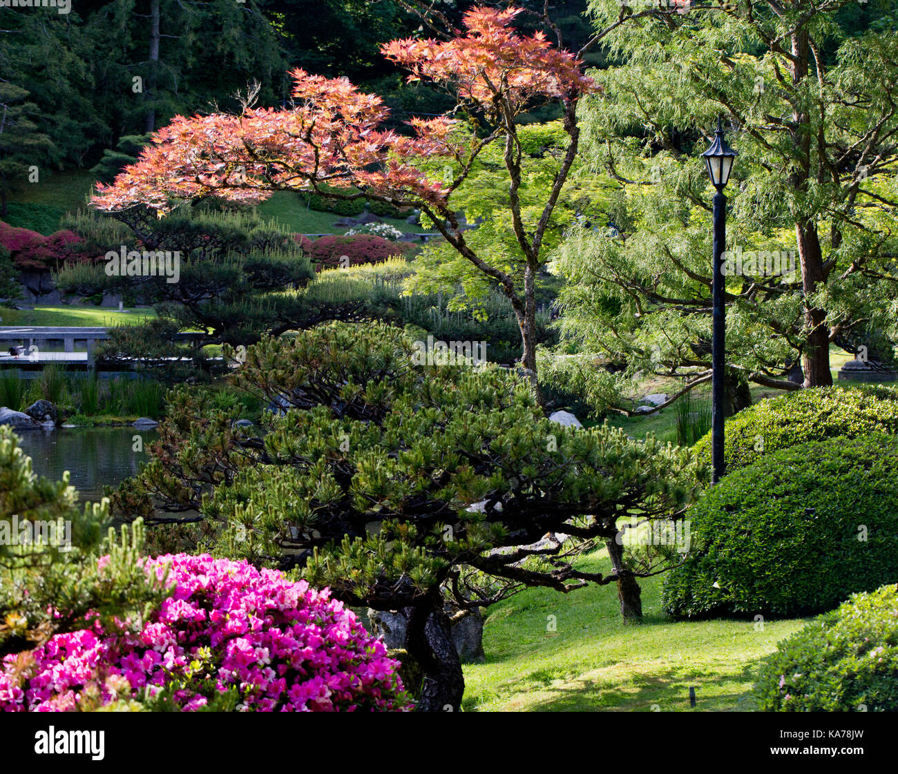 Japanischer Garten, Seattle, Washington State, USA. Stockfoto