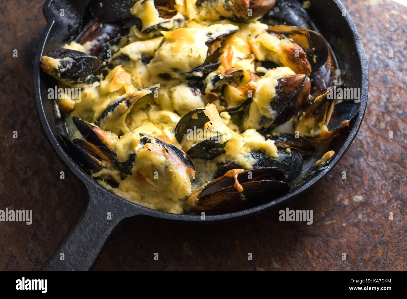 Pfanne mit Muscheln unter Käse Soße auf braunem Grund Seitenansicht horizontal Stockfoto