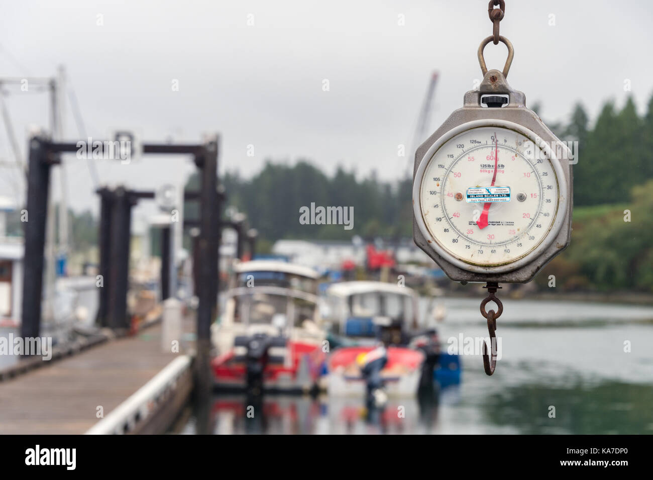 Tofino, Britisch-Kolumbien, Kanada - 9 September 2017: Angeln hängende Waage im Tofino Fisherman's Wharf Stockfoto