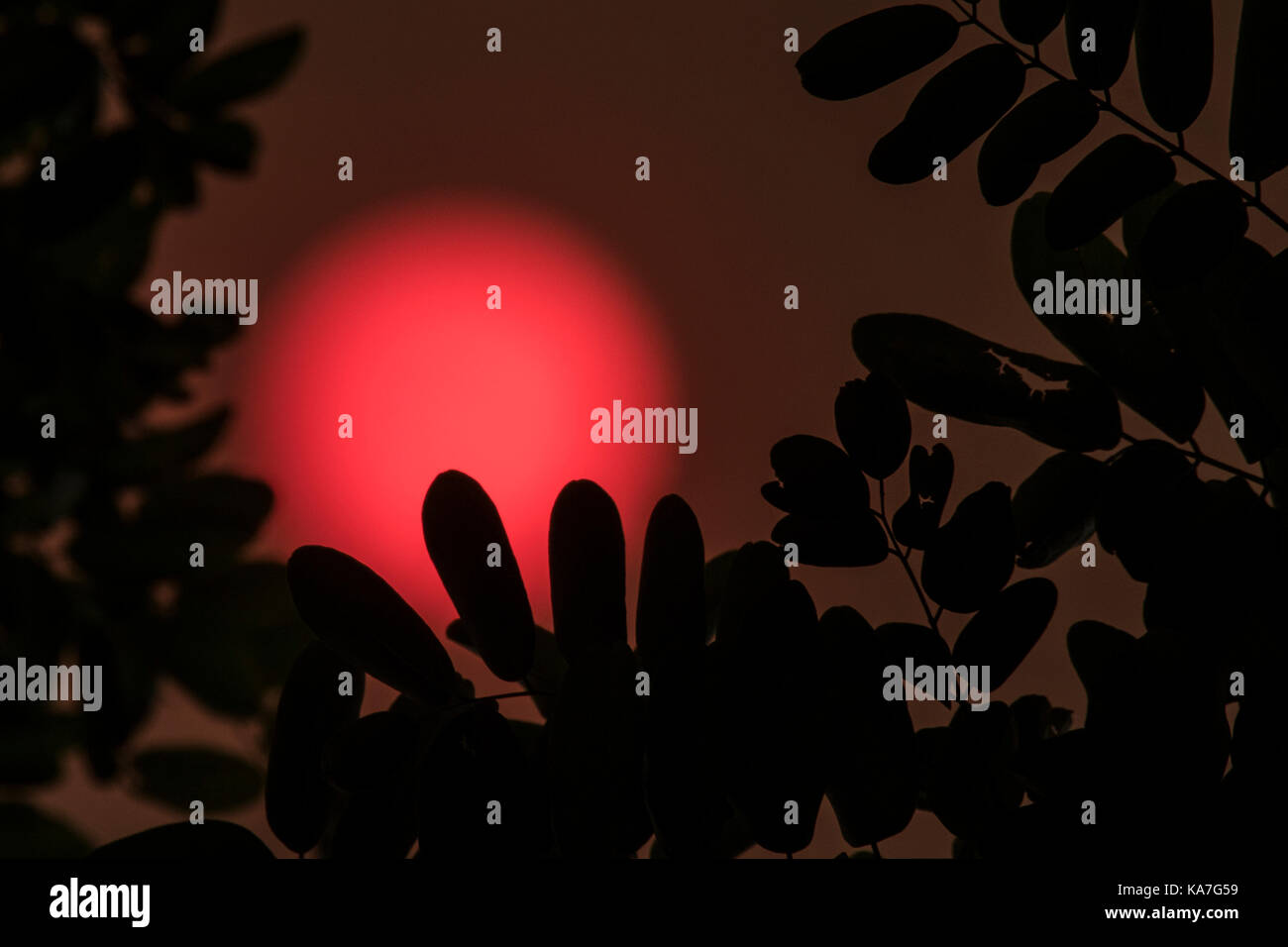 Sonne scheint durch eine dicke Schicht von Rauch am Mittag Stockfoto Sonne scheint durch eine dicke Schicht von Rauch am Mittag Stockfoto