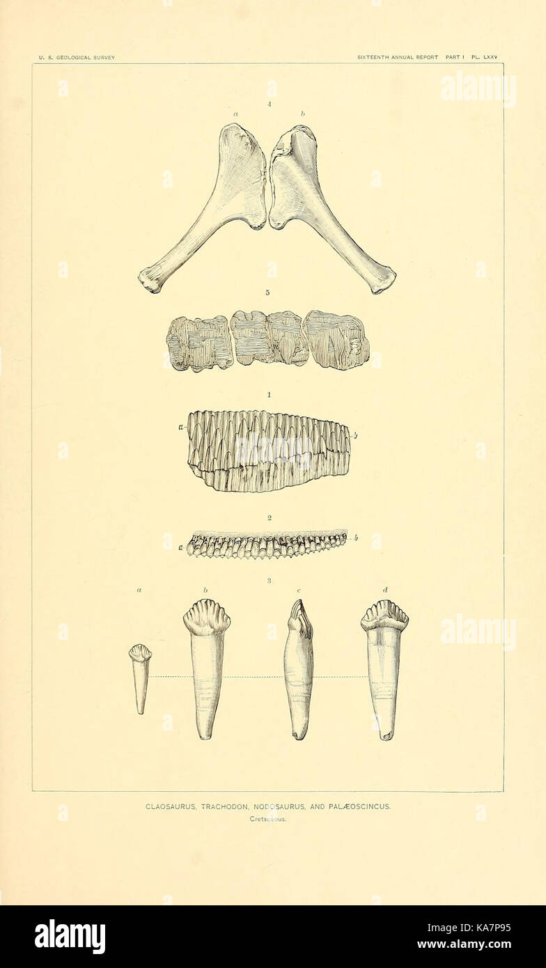 Die Dinosaurier von Nordamerika (7368806770) Stockfoto