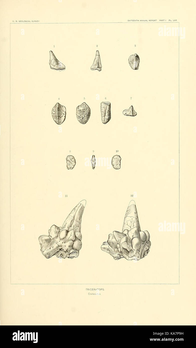 Die Dinosaurier von Nordamerika (7368798756) Stockfoto