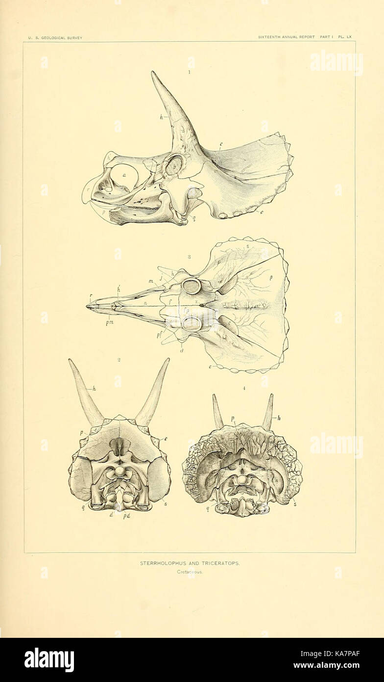Die Dinosaurier von Nordamerika (7183548413) Stockfoto