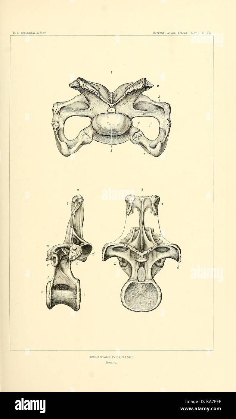 Die Dinosaurier von Nordamerika (7368691314) Stockfoto