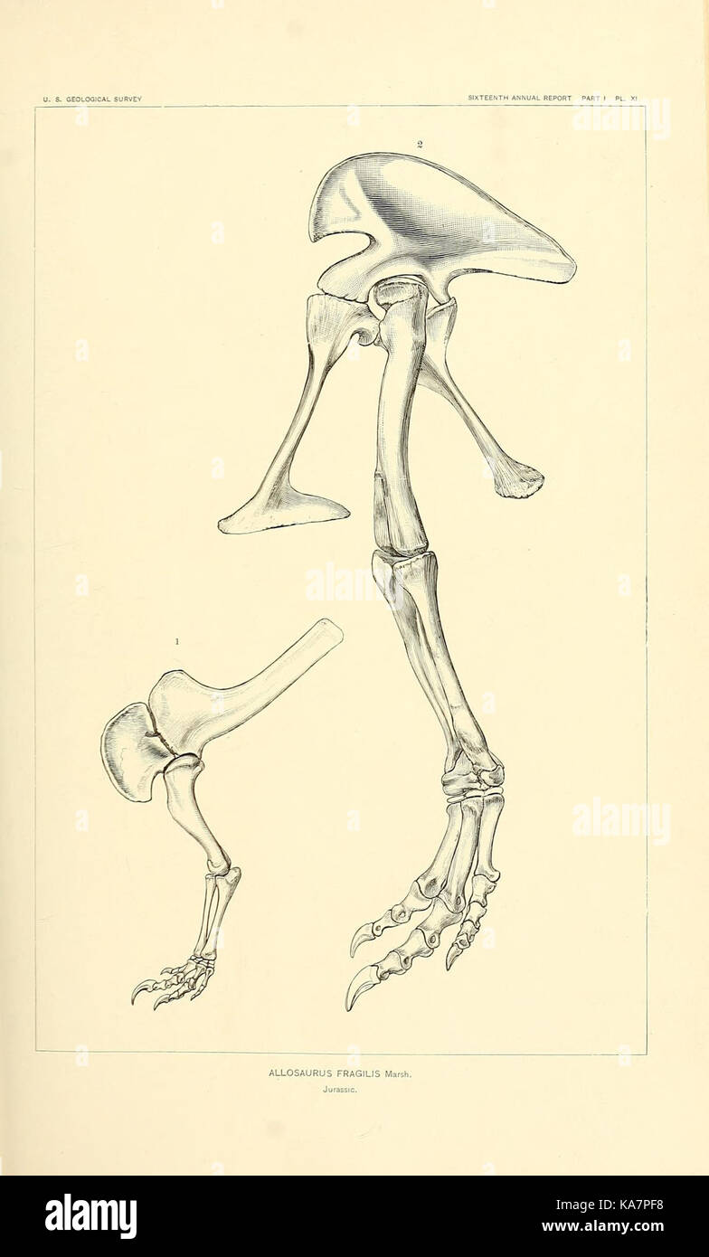 Die Dinosaurier von Nordamerika (7183437163) Stockfoto