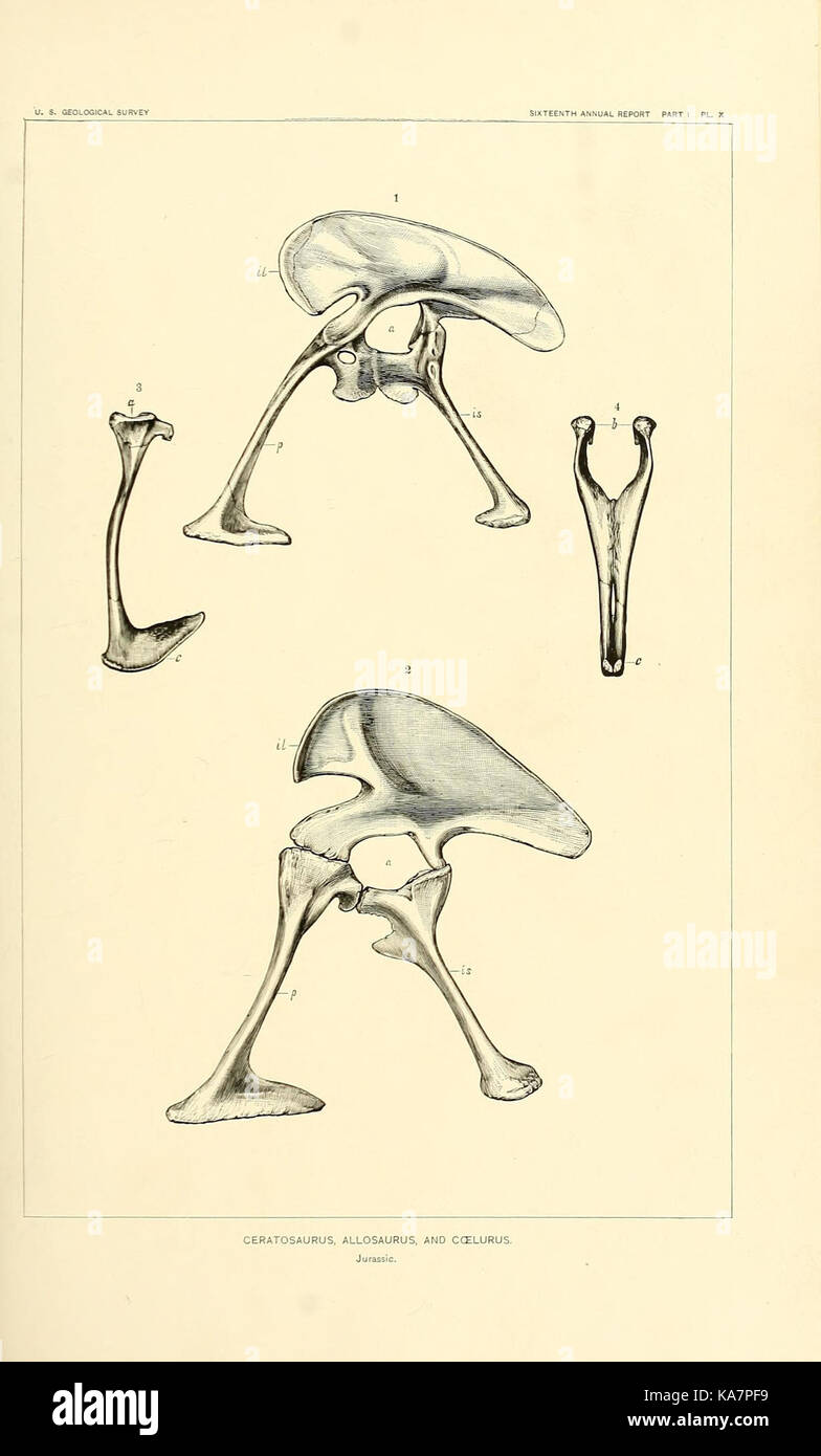 Die Dinosaurier von Nordamerika (7183435841) Stockfoto