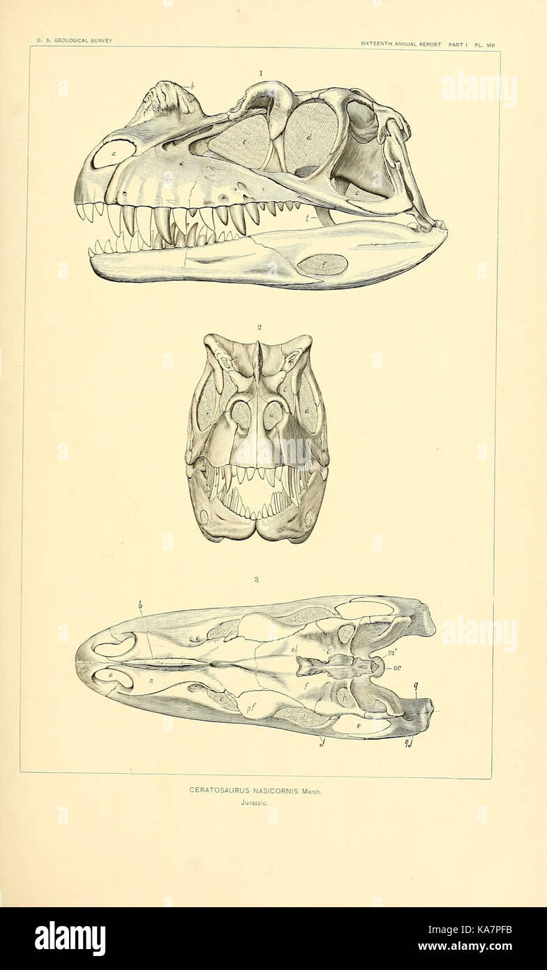 Die Dinosaurier von Nordamerika (7368664924) Stockfoto