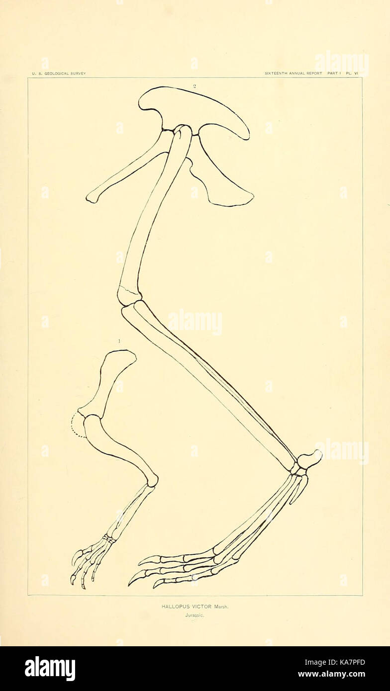Die Dinosaurier von Nordamerika (7183429891) Stockfoto