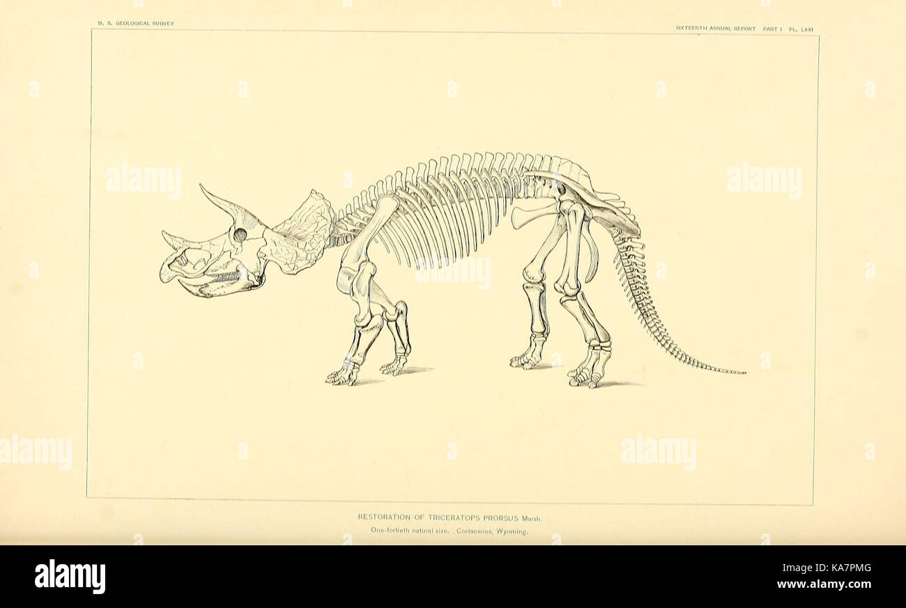 Die Dinosaurier von Nordamerika (7183568137) Stockfoto