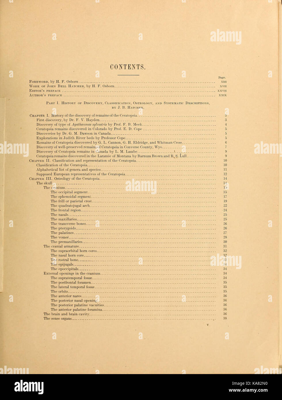 Die ceratopsia BHL 39875562 Stockfoto