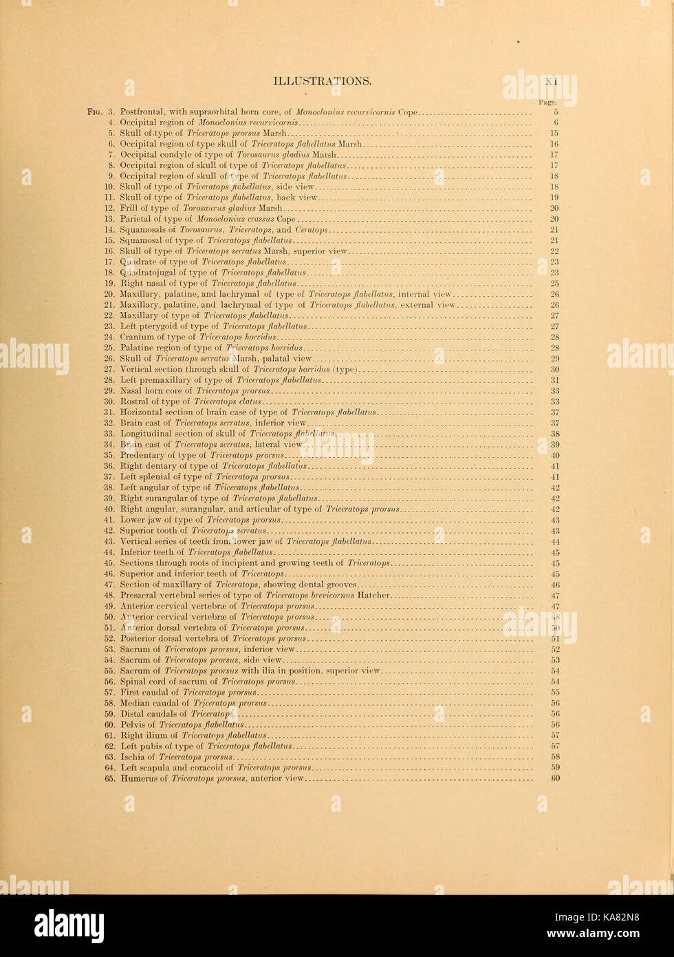 Die ceratopsia (Seite XI) BHL 39875556 Stockfoto