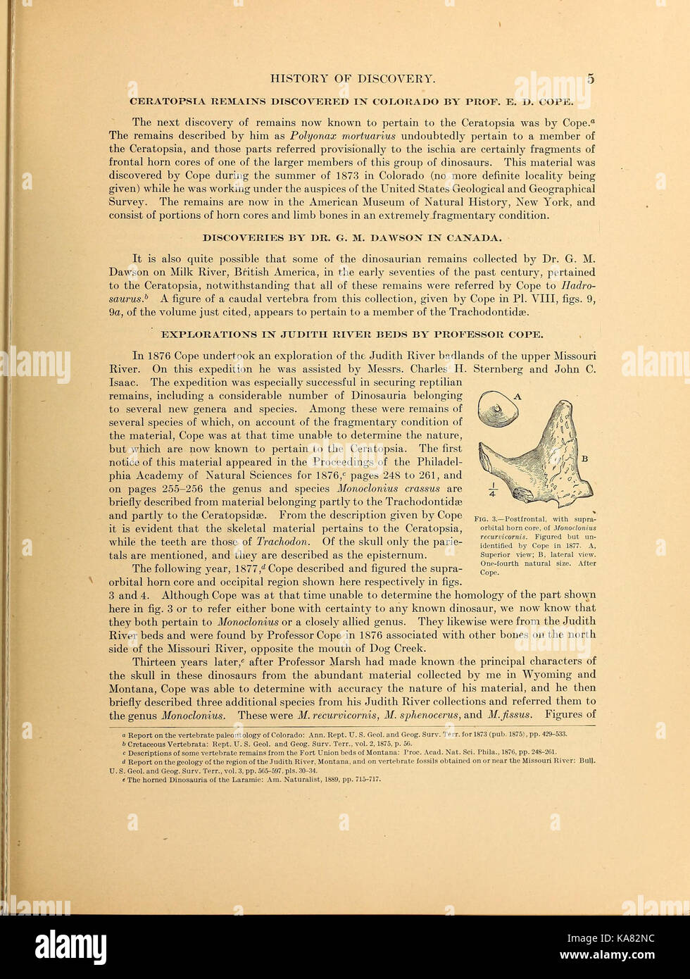 Die ceratopsia BHL 39875512 Stockfoto