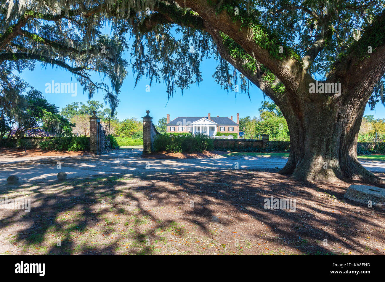 Boone Hall Plantation, Charleston, South Caroline. Usa Stockfoto