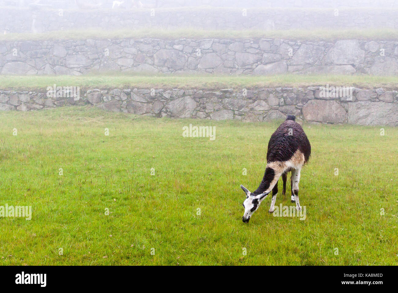 Machu Picchu, "Die verlorene Stadt der Inkas", Peru. Stockfoto