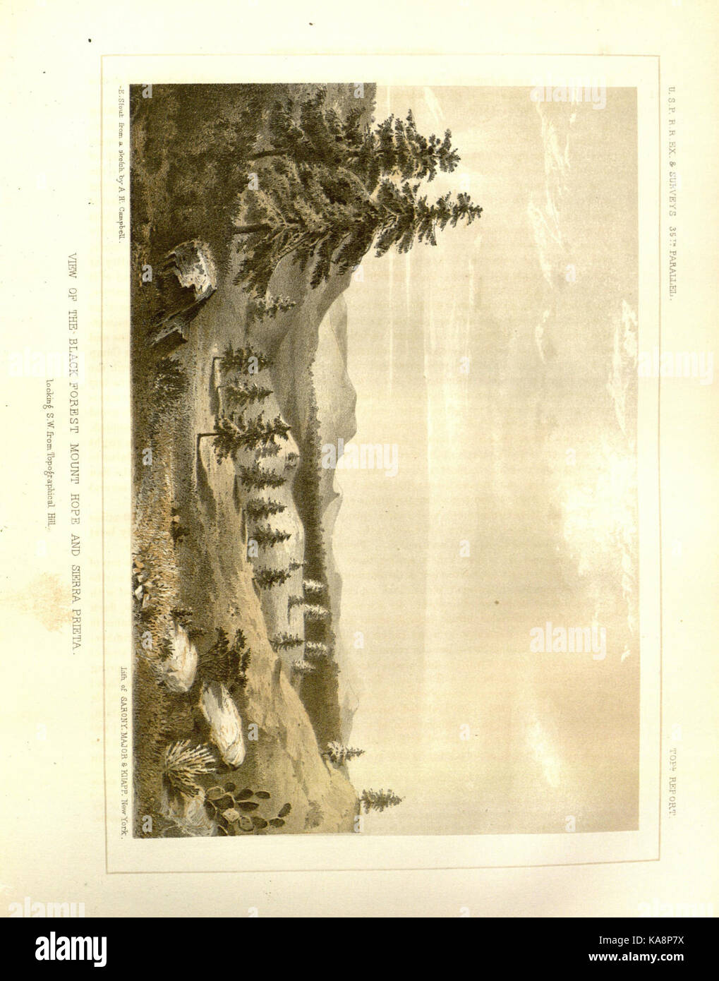 Berichte von Erkundungen und Befragungen BHL 32404852 Stockfoto